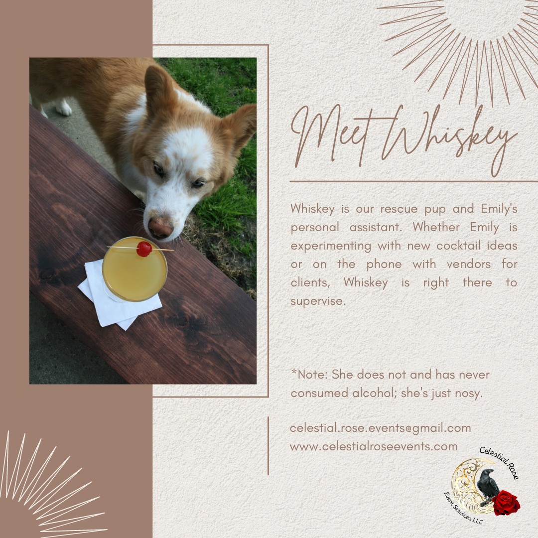 Image of a orange and white dog with text that reads 'Meet Whiskey, Whiskey is our rescue pup and Emily's personal assistant. Whether Emily is experimenting with new cocktail ideas or on the phone with vendors for clients, Whiskey is right there to supervise. Note: She does not and has never consumed alcohol; she's just nosy.'